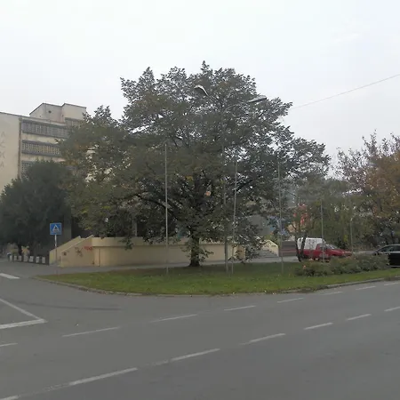 Backa